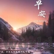 森林舞会官网登录下载-森林舞会，连接自然与科技的奇妙之旅